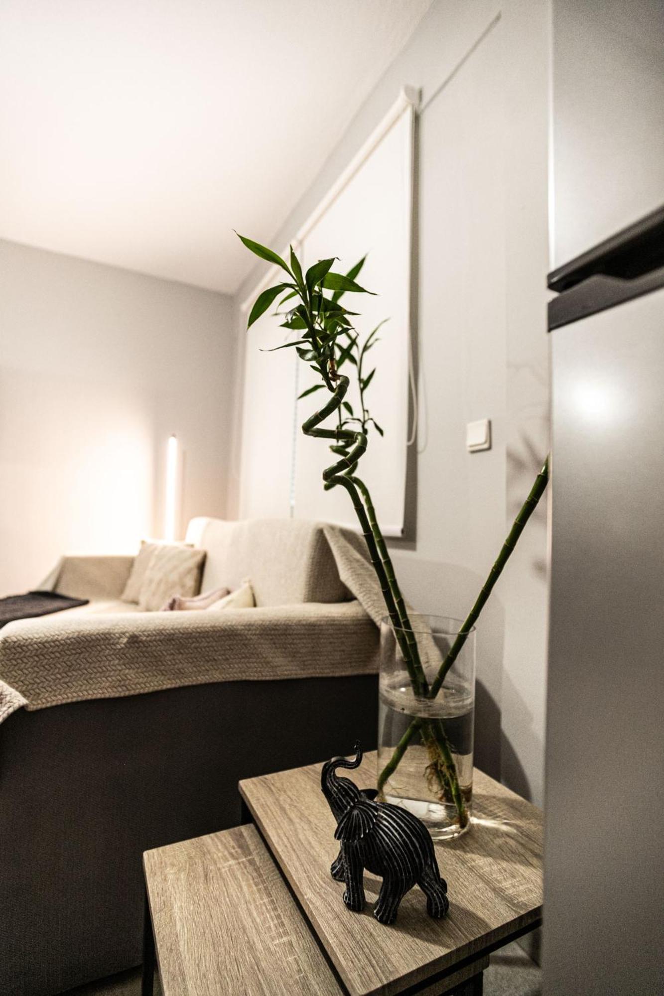 Hermes Modern Apartment 亚历山德鲁波利斯 外观 照片